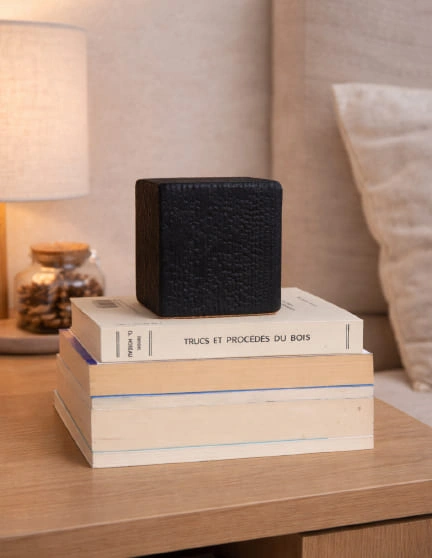 serre-livres bois brûlé cube